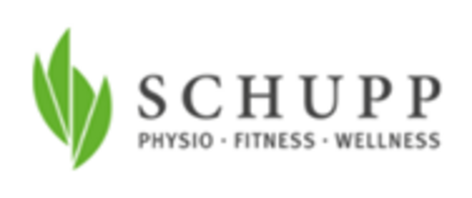 Schupp logo