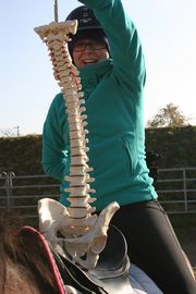 Reiter Physio Therapeut